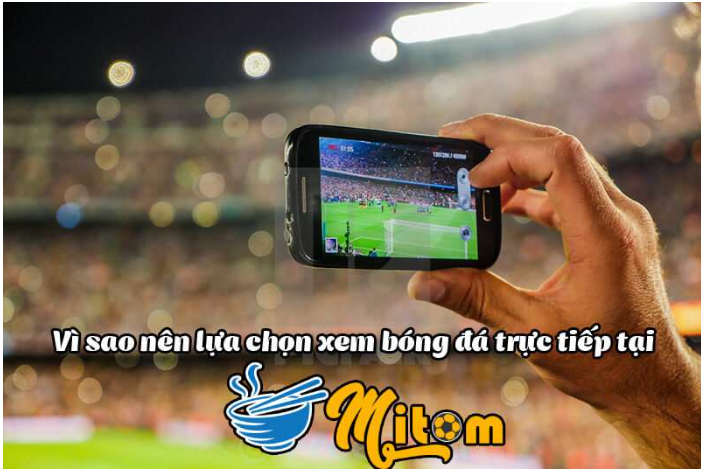 Giới thiệu về Mitom Tv